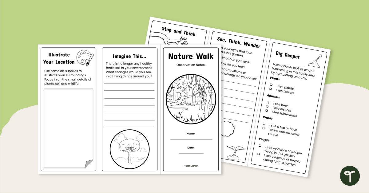 Nature Walk Brochure Template teaching resource