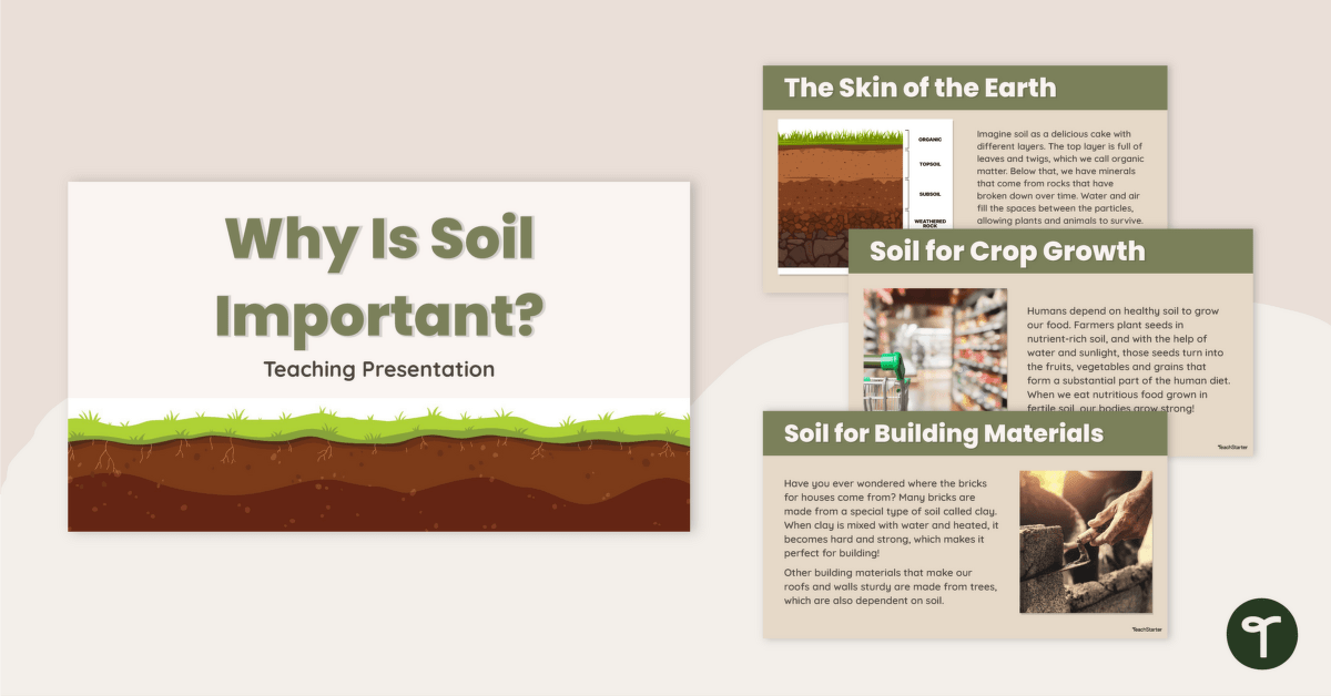 Why Is Soil Important? Teaching Slides teaching resource