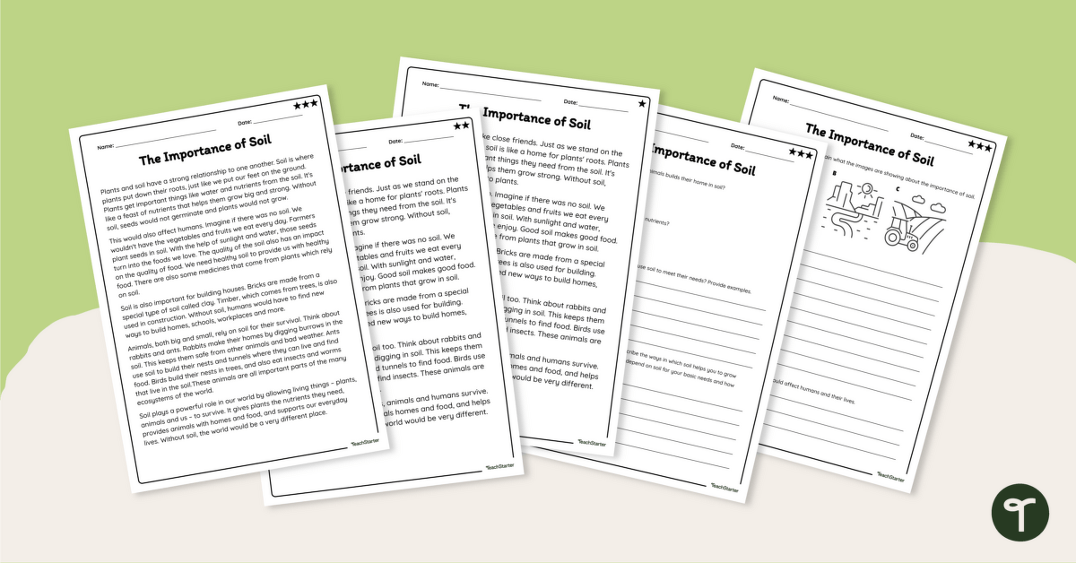The Importance of Soil – Comprehension Worksheets teaching resource
