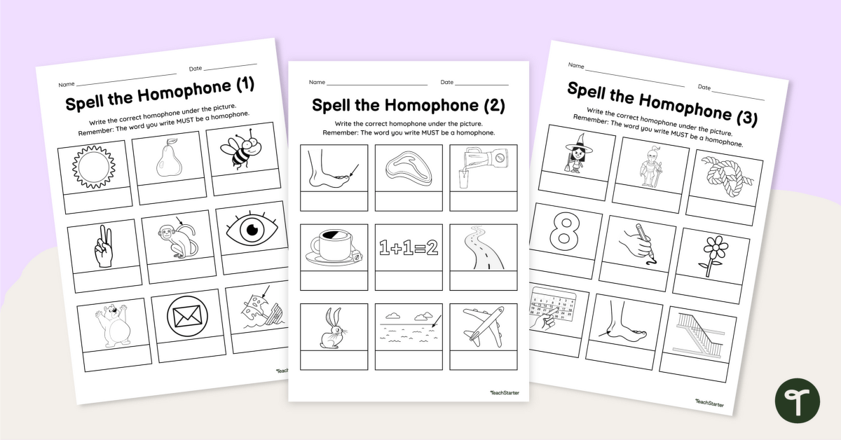 Spell the Homophone Worksheets teaching resource