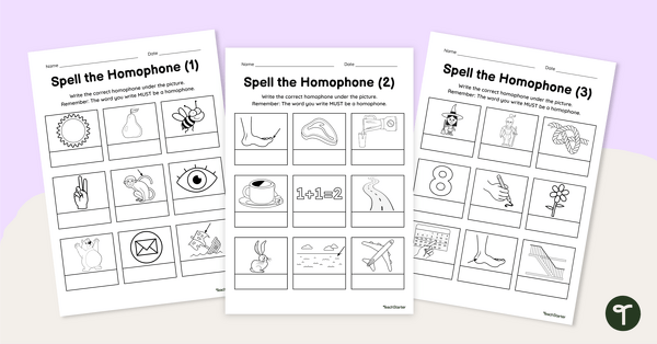 Go to Spell the Homophone Worksheets teaching resource