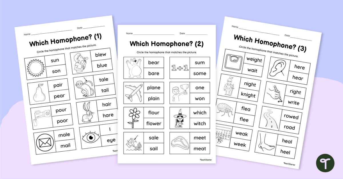 Which Homophone? Worksheets teaching resource