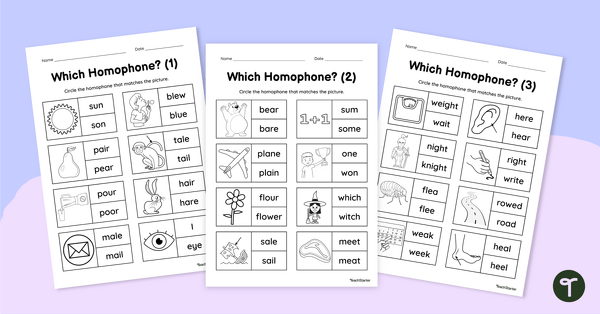 Go to Which Homophone? Worksheets teaching resource