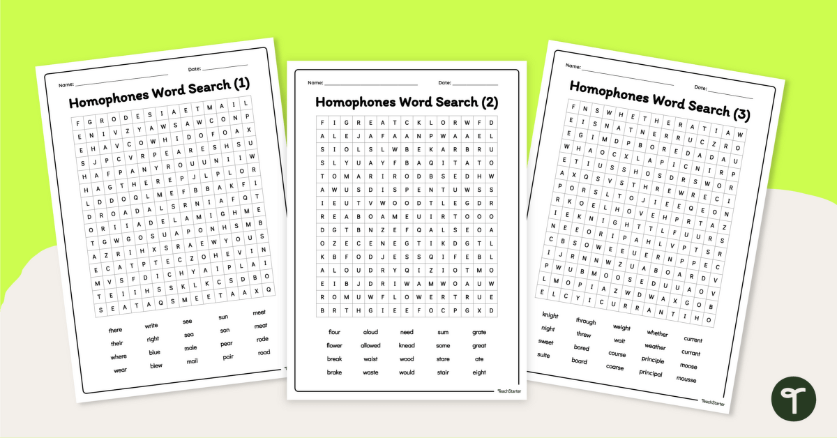 Homophones Word Searches teaching resource