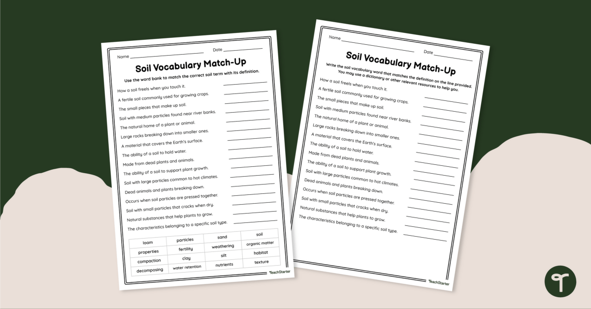 Soil Vocabulary Worksheet teaching resource