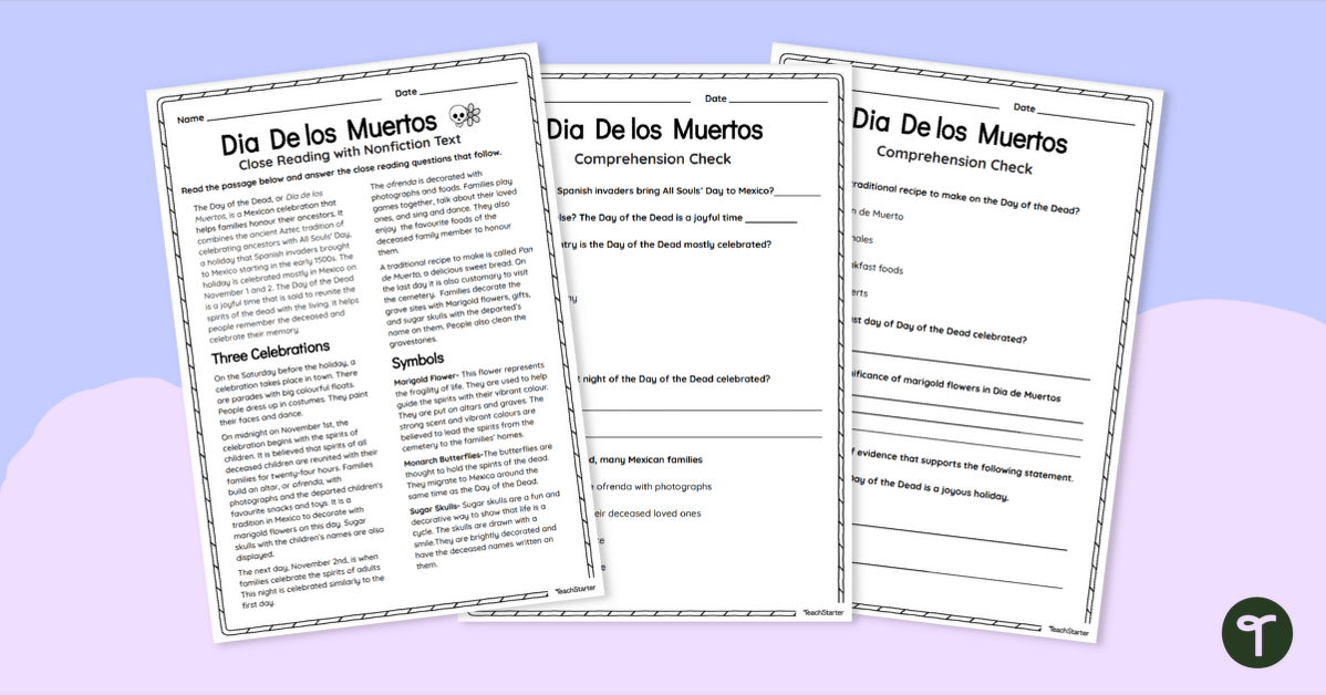 Year 4 Reading Comprehension - The Day of the Dead Reading Passage teaching resource