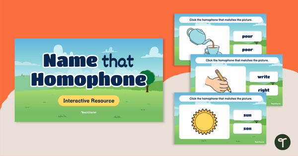 Go to Name That Homophone! Interactive Activity teaching resource