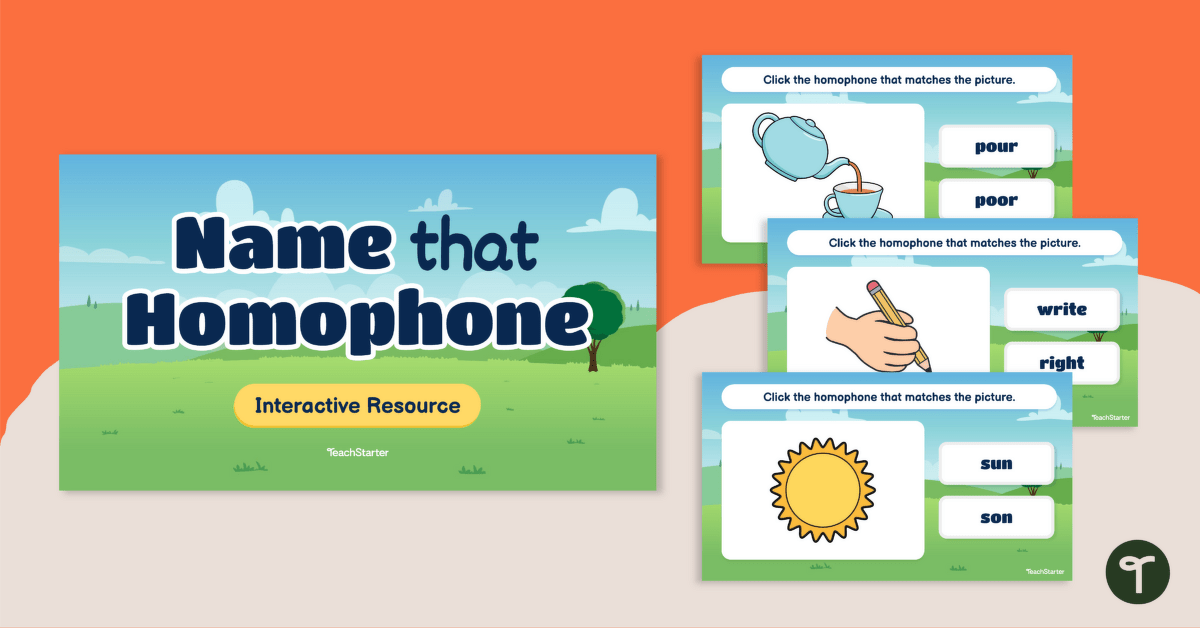 Name That Homophone! Interactive Activity teaching resource