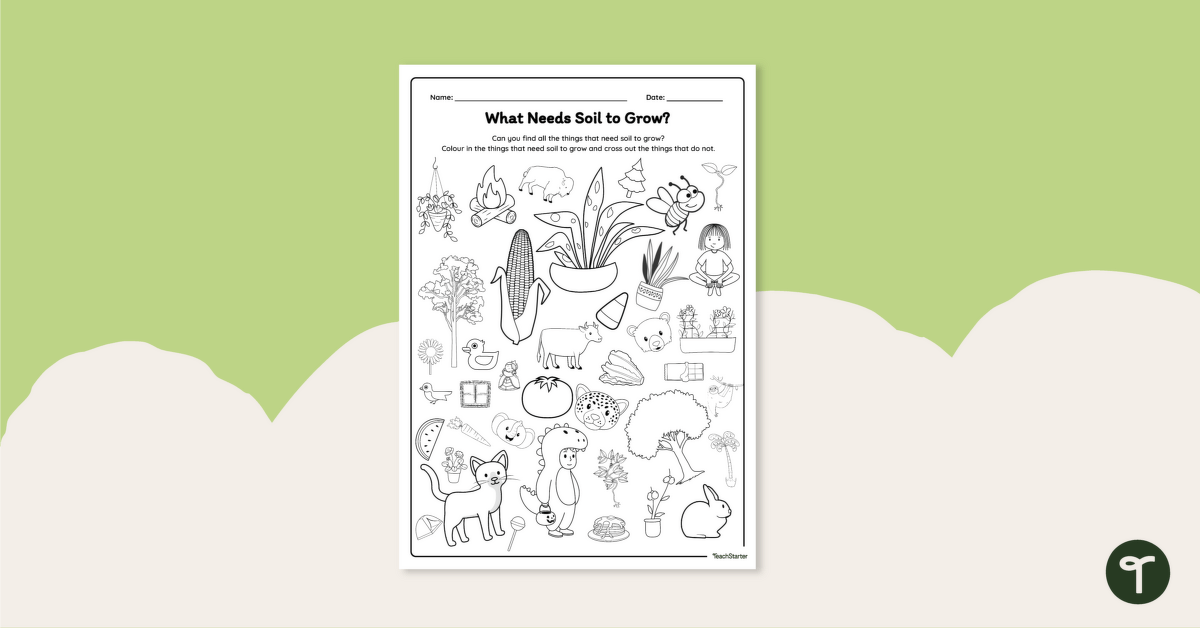 What Needs Soil to Grow? Colouring Worksheet teaching resource