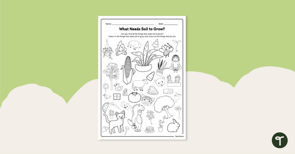 Go to What Needs Soil to Grow? Colouring Worksheet teaching resource