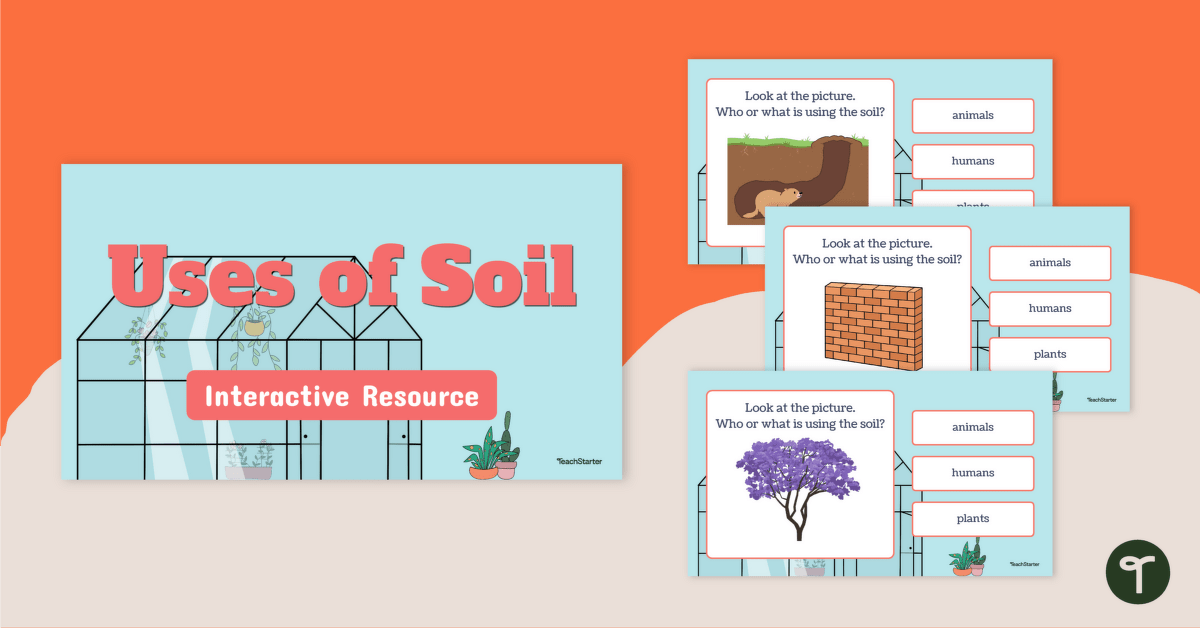 Uses of Soil Interactive Activity teaching resource