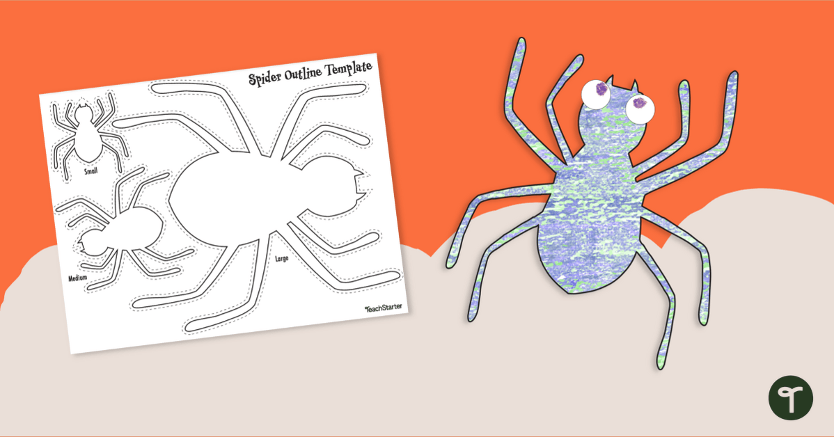 Spider Outline Template teaching resource