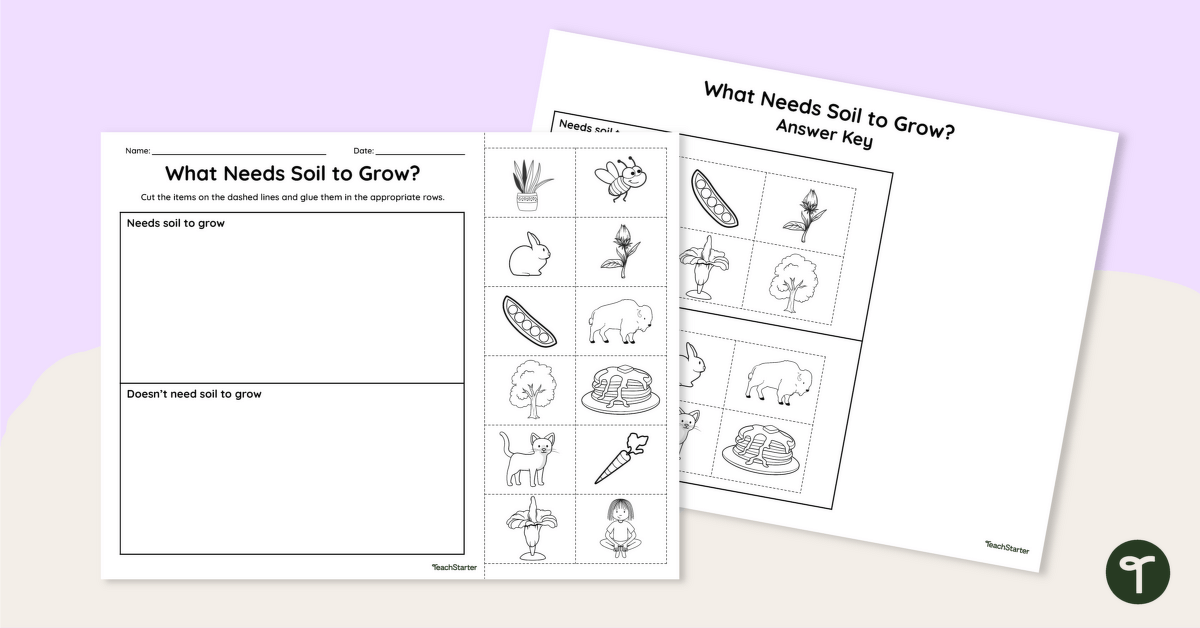 What Needs Soil to Grow? Cut and Paste Worksheet teaching resource