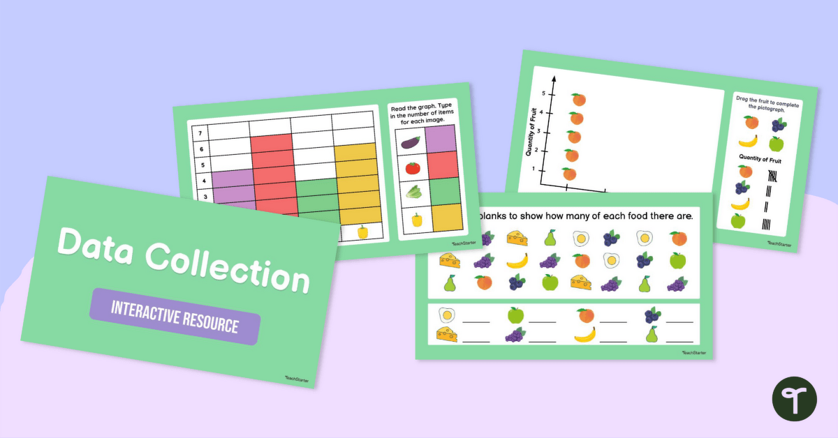 Data Collection Interactive Activity teaching resource