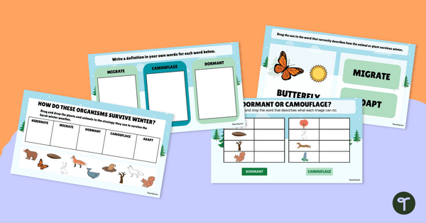 Go to Environmental Factors That Affect Plants and Animals – Interactive Activity teaching resource