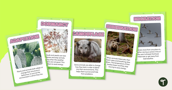 Go to How Seasons Affect Plants and Animals Poster Set teaching resource