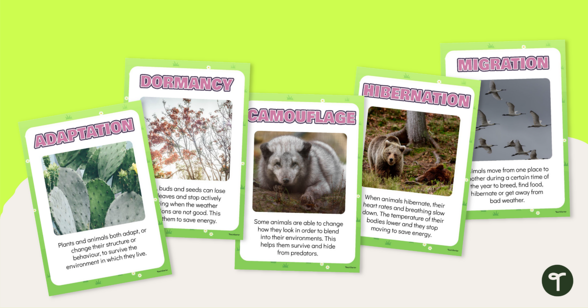 Plant & Animal Adaptations Poster Set teaching resource