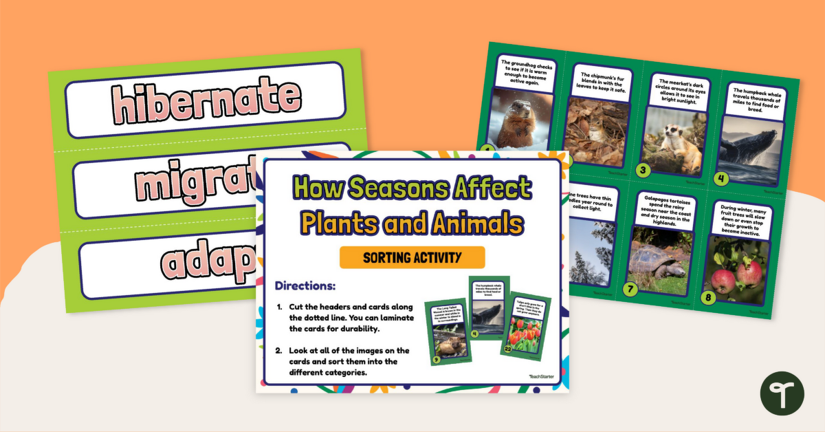 How Seasons Affect Plants and Animals Sorting Activity teaching resource