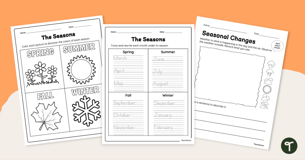 Seasonal Changes Worksheets teaching resource