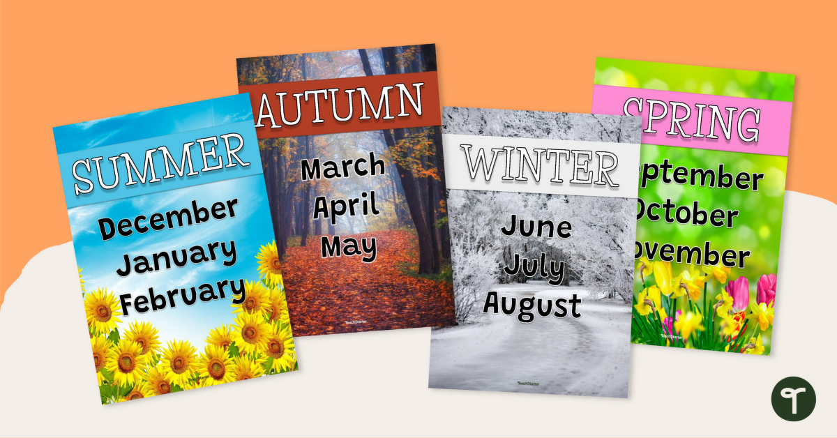 Seasons and Months Posters teaching resource
