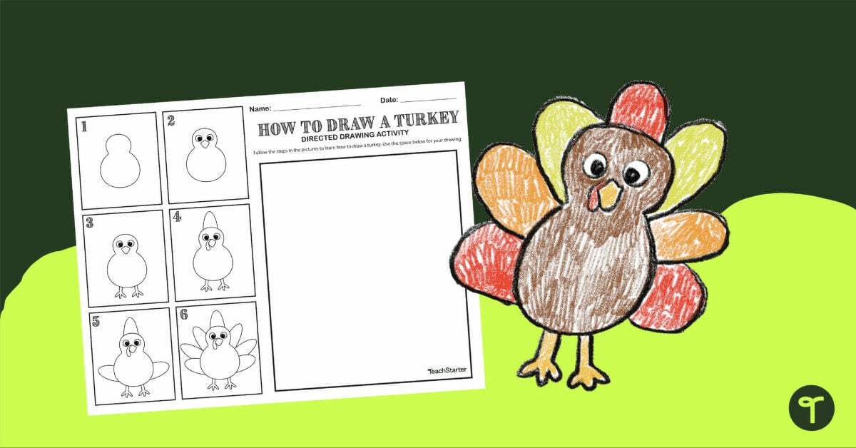 How to Draw a Turkey Worksheet teaching resource