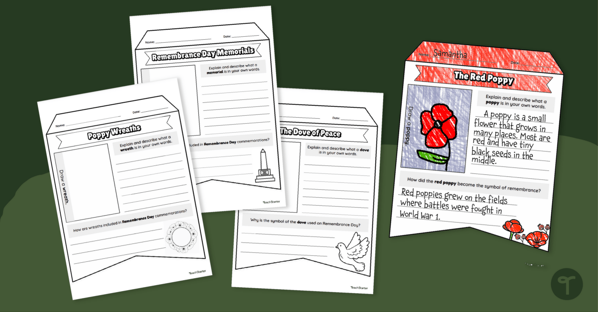 Symbols of Remembrance Day Banners teaching resource