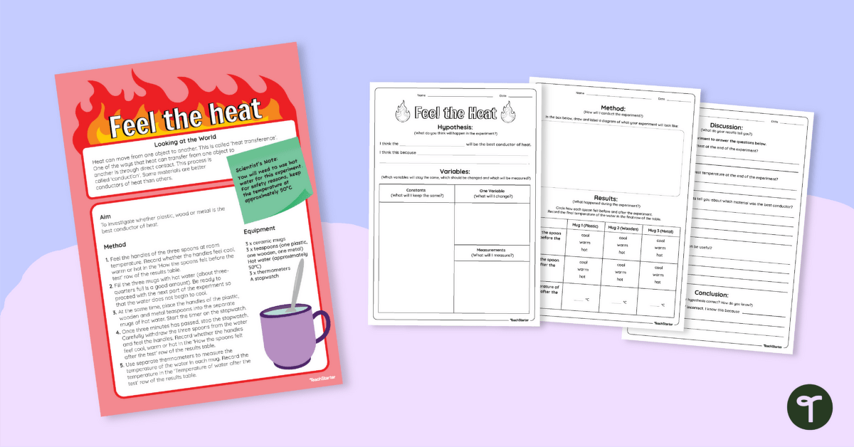 Heat Conductors Science Experiment (Feel the Heat) teaching resource