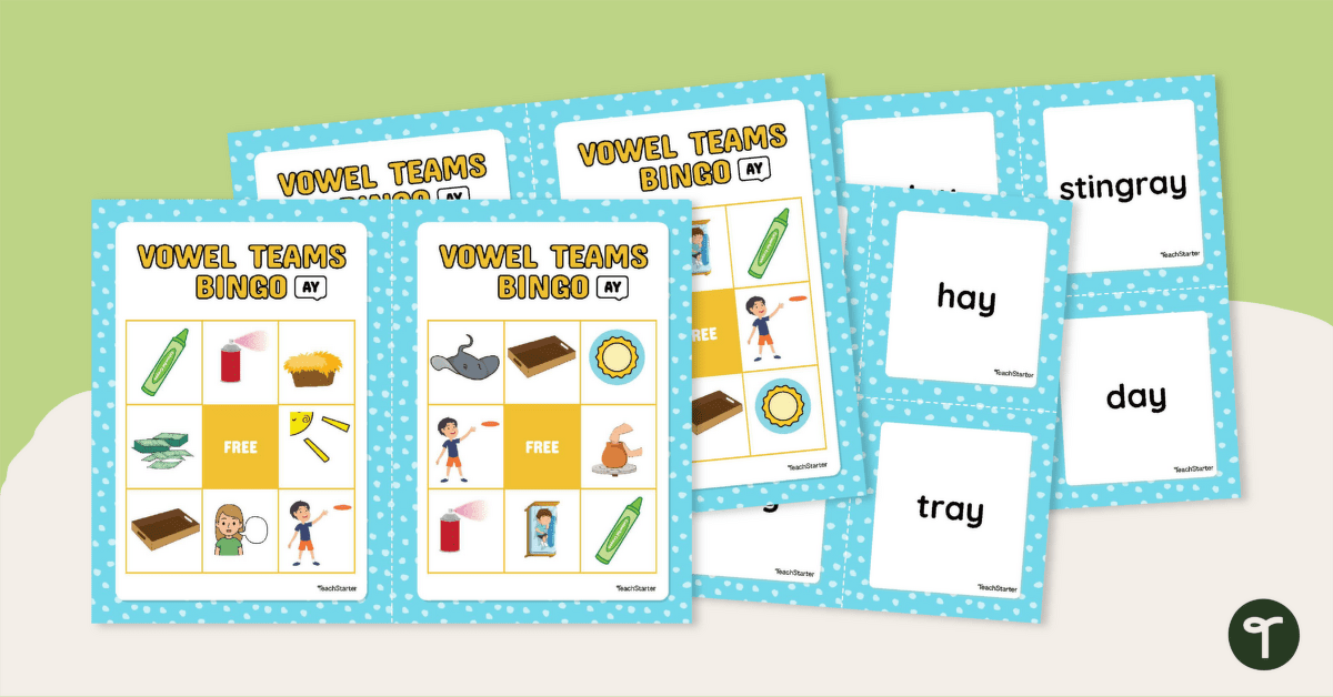 Diphthong Vowel Team 'AY' Bingo teaching resource