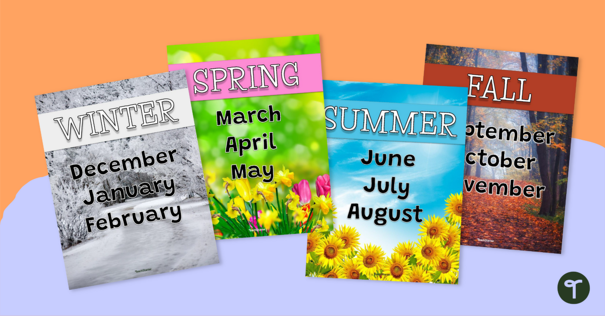 Seasons and Months Posters teaching resource