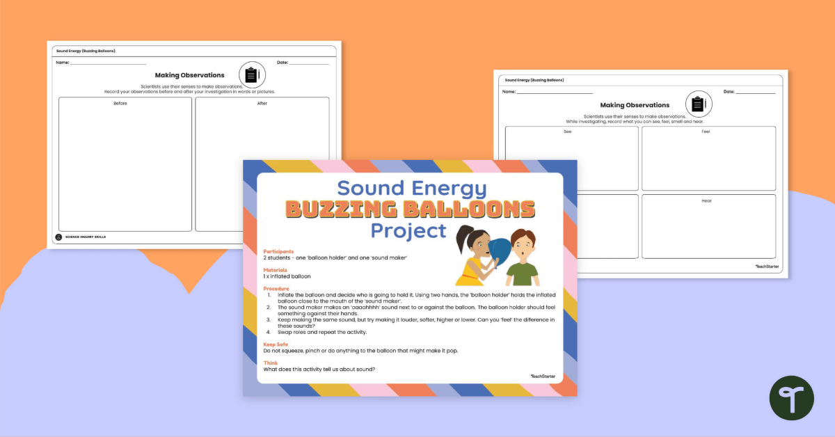 Sound Energy Project (Buzzing Balloons) teaching resource