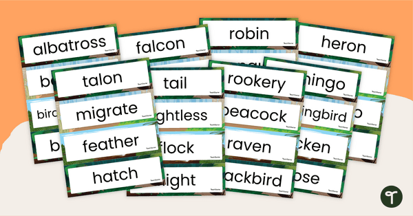 Go to Bird Word Wall Vocabulary teaching resource