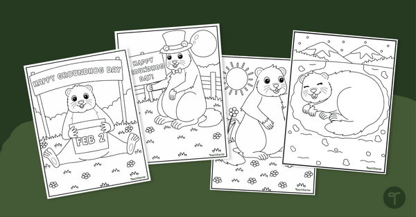 Go to Free Groundhog Coloring Page Pack teaching resource