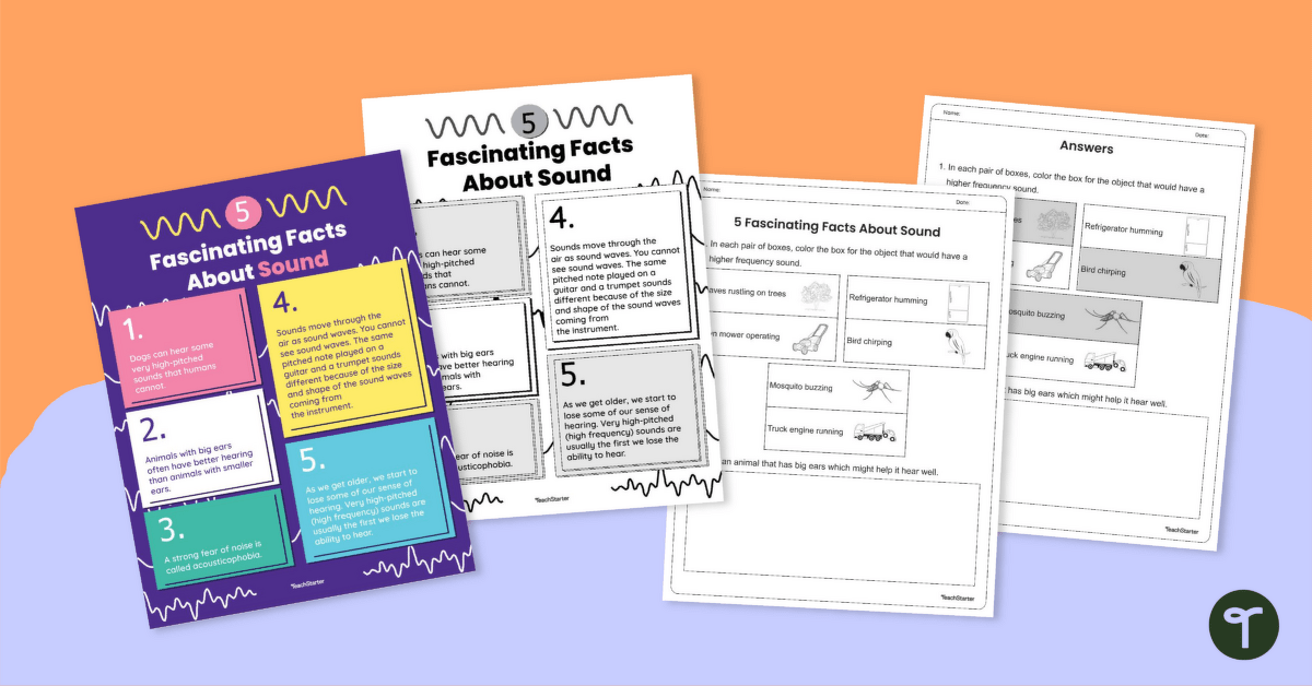 5 Fascinating Facts About Sound Worksheet teaching resource