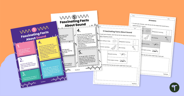 Go to 5 Fascinating Facts About Sound Worksheet teaching resource