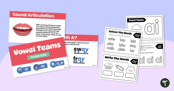 Image of AI, AY and A_E Vowel Team Lesson Resource Pack