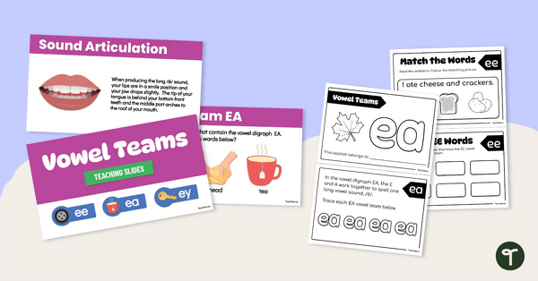 Go to EE, EA and EY Vowel Team Lesson Resource Pack teaching resource