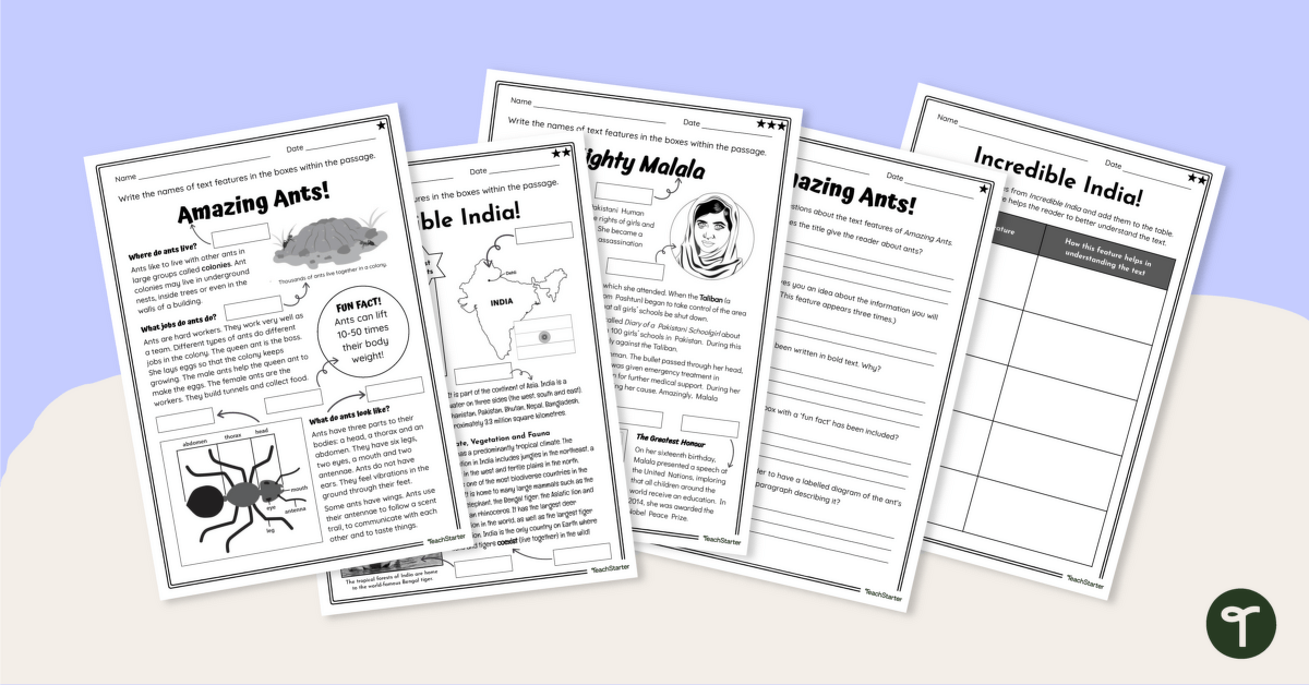 Label the Non-Fiction Text Features Worksheets teaching resource