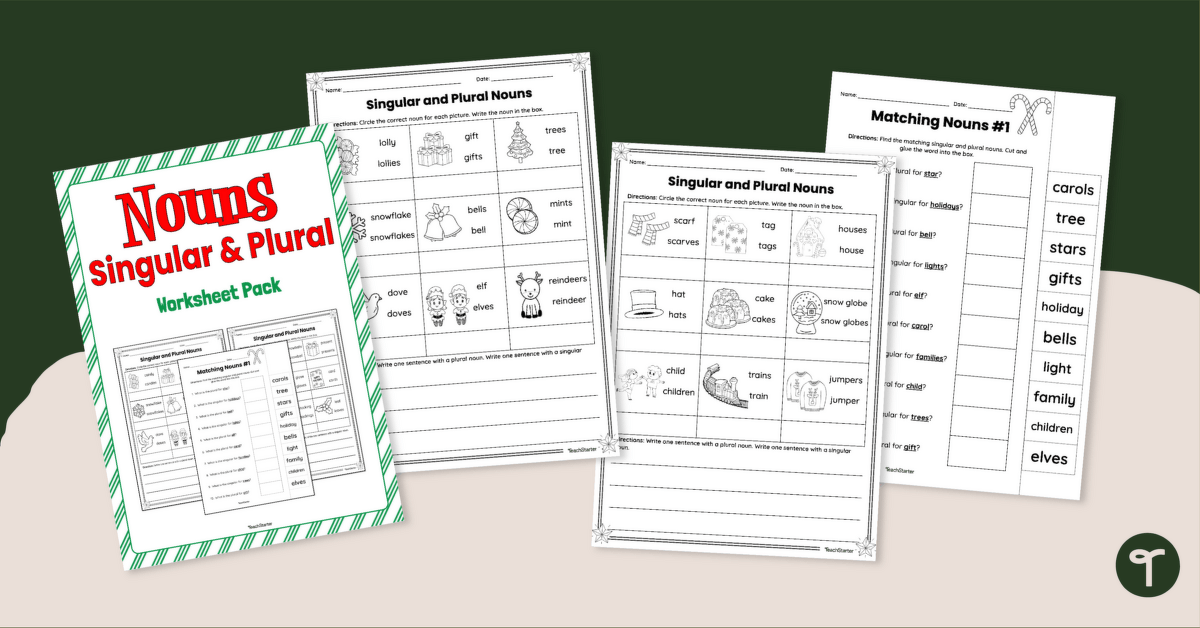 Christmas Singular and Plural Noun Worksheets teaching resource