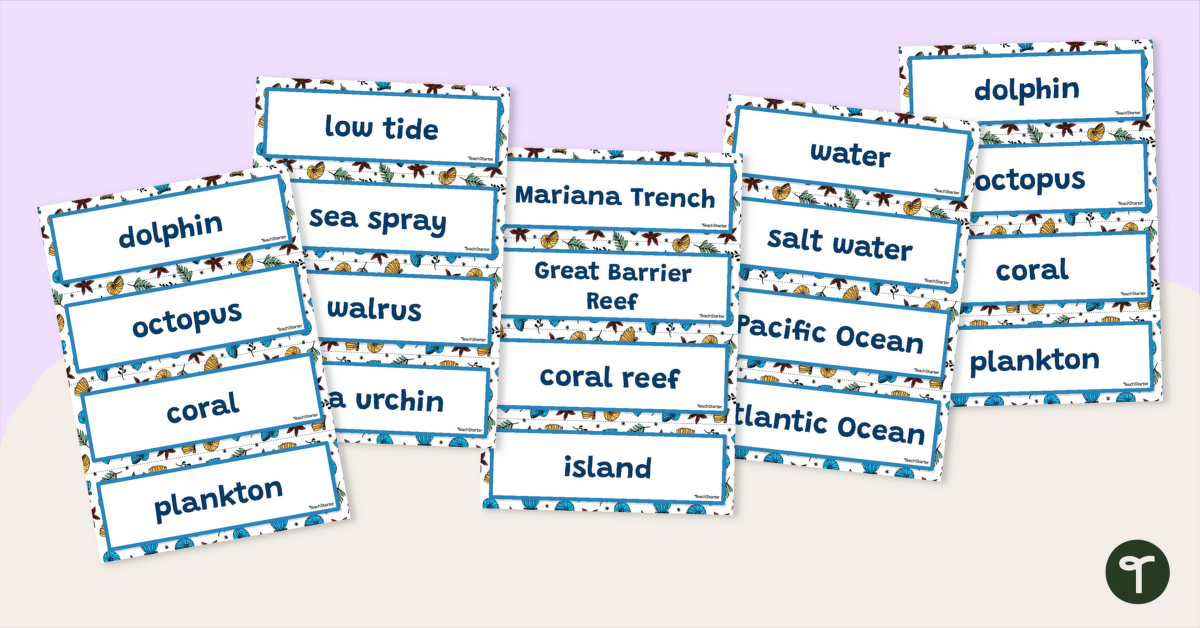 Ocean & Marine Word Wall Vocabulary teaching resource