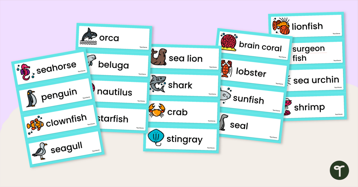 Illustrated Ocean Animals Word Wall Cards teaching resource