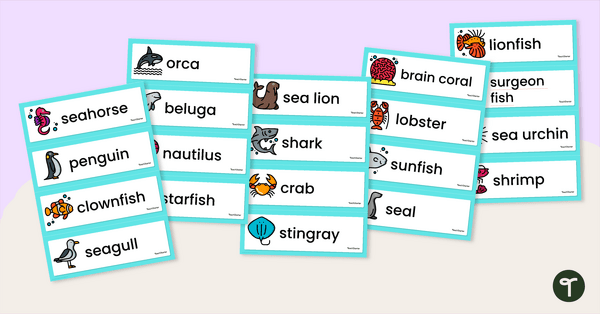 Go to Illustrated Ocean Animals Word Wall Cards teaching resource
