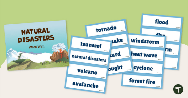 Go to Natural Disaster Word Wall Vocabulary teaching resource