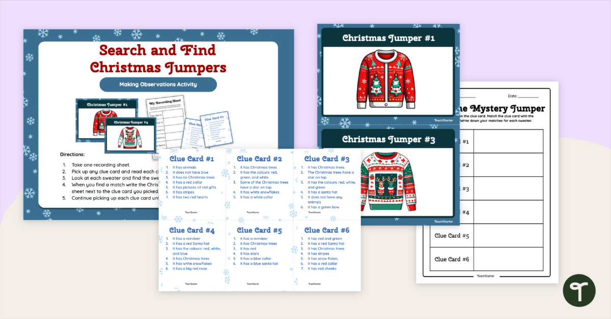 Tacky Jumper Problem Solving & Observation Activity teaching resource