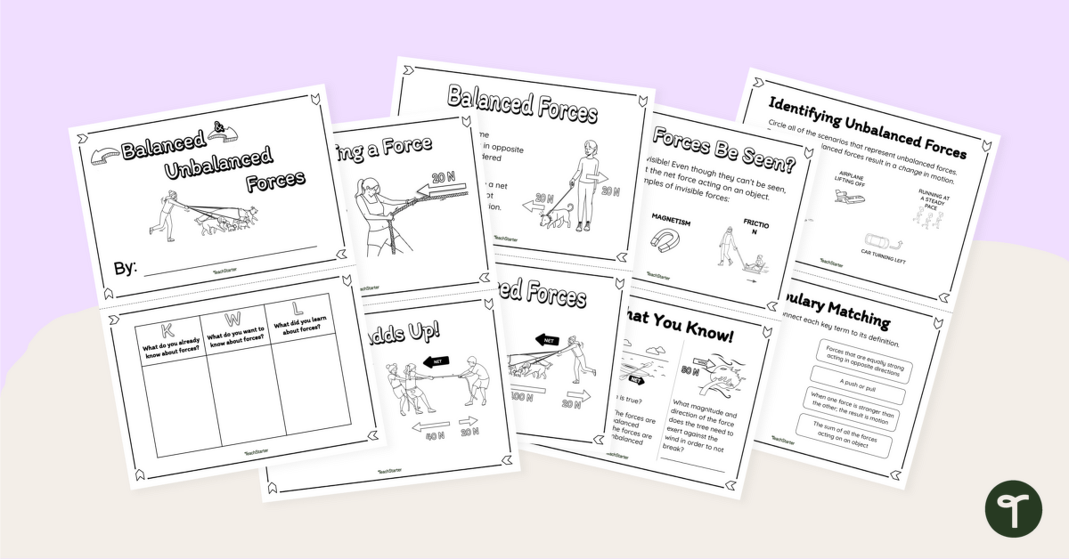 Balanced and Unbalanced Forces Minibook teaching resource