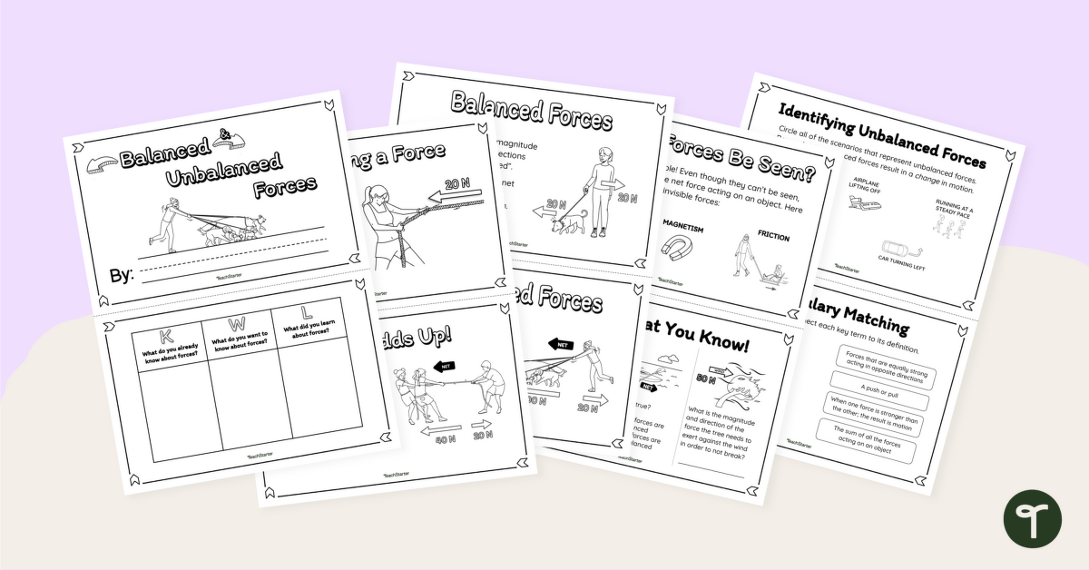 Balanced and Unbalanced Forces Minibook teaching resource