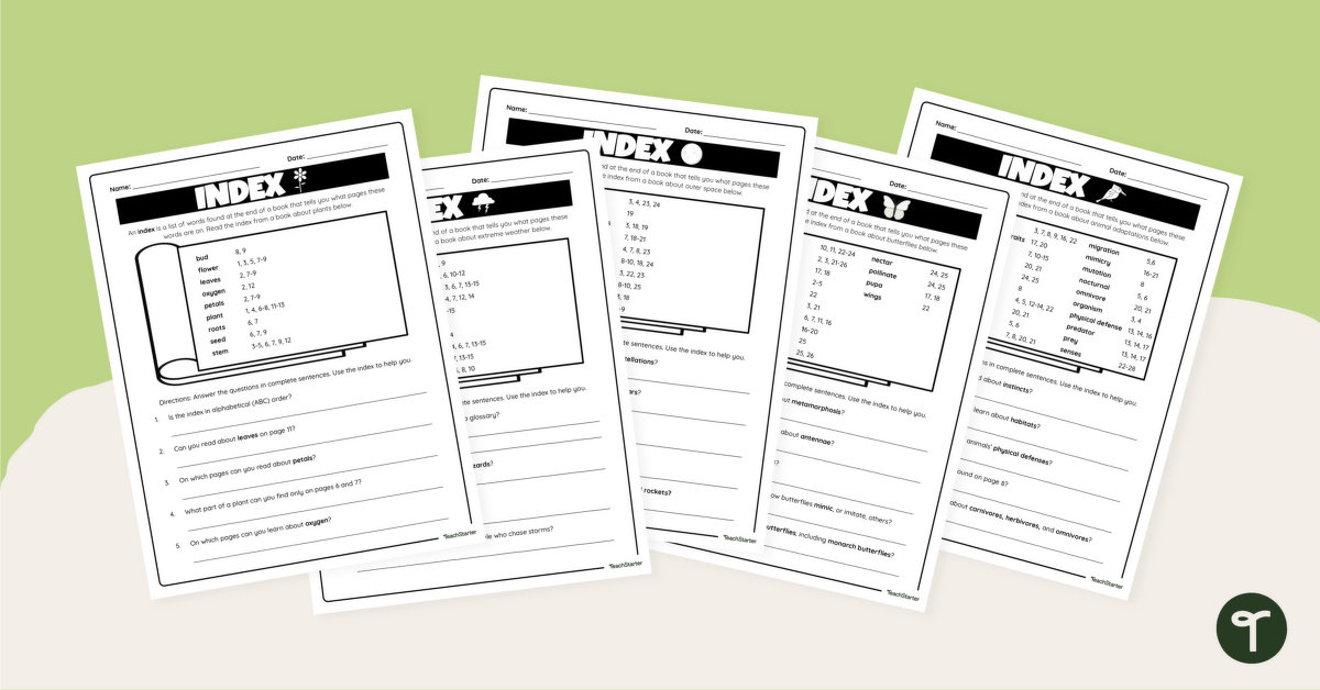 Using Indexes Worksheets teaching resource