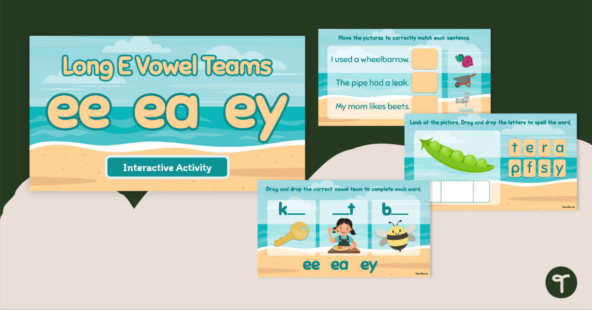 Long E Vowel Teams Interactive Activity teaching resource