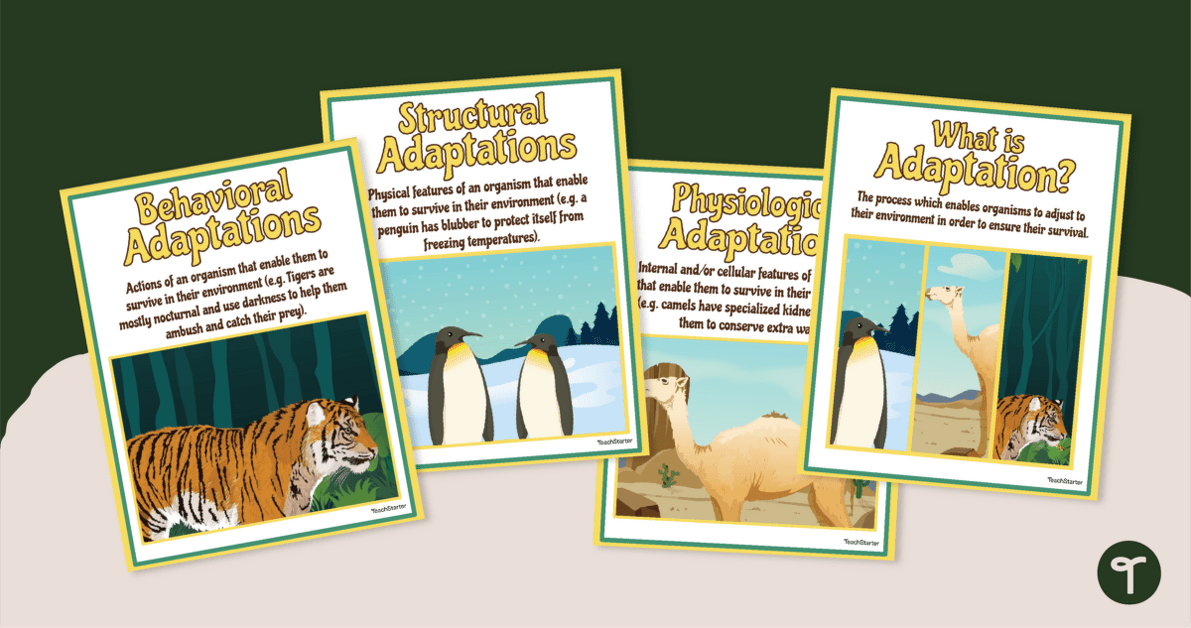 Three Types of Environmental Adaptations Posters teaching resource