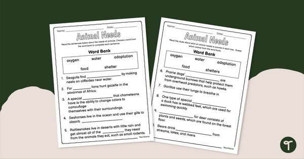 Go to What Do Living Things Need to Survive? – Worksheet teaching resource