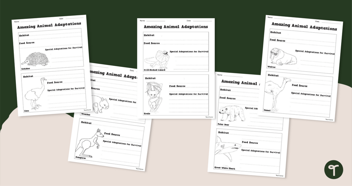 Amazing Animals With Adaptations - Worksheets teaching resource